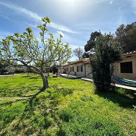 Finca Roberto Villa Can Picafort  Kültér fotó