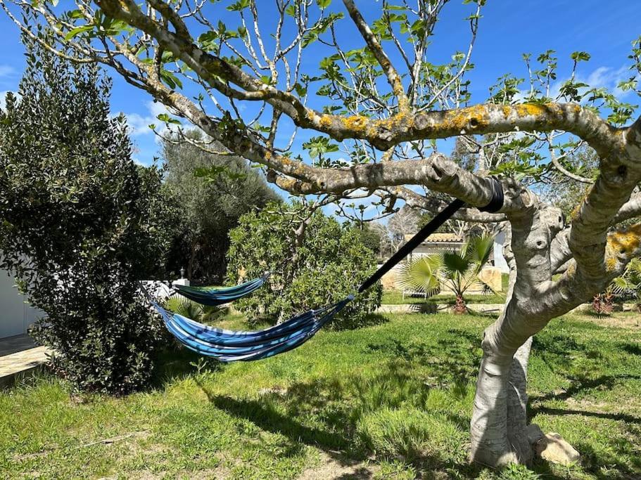 Finca Roberto Villa Can Picafort  Kültér fotó