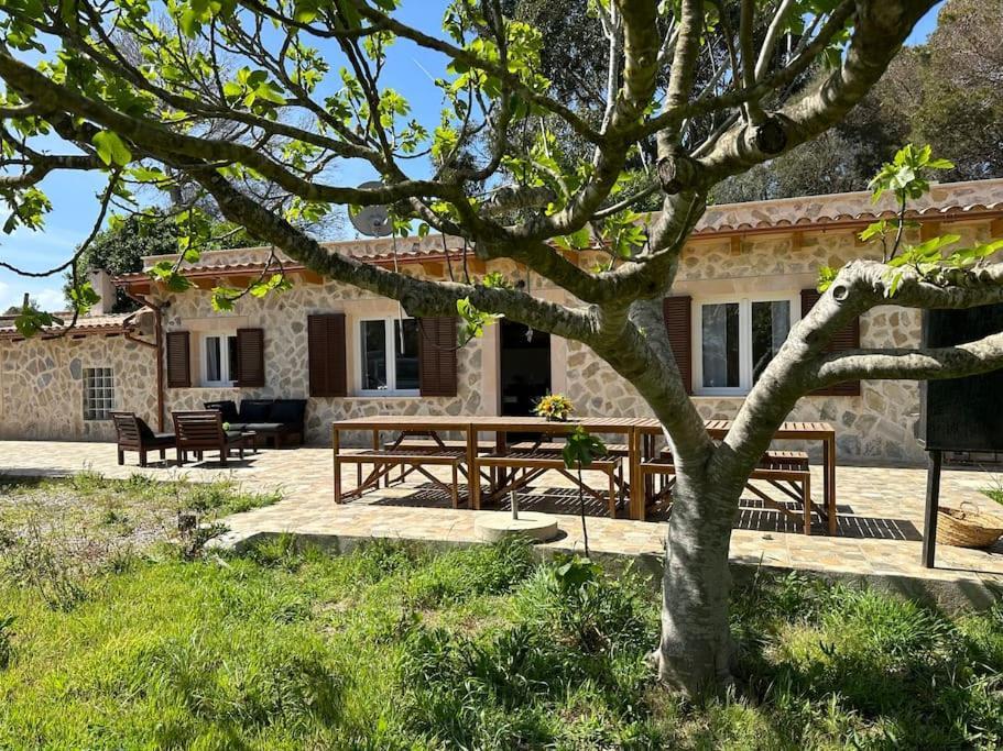 Finca Roberto Villa Can Picafort  Kültér fotó