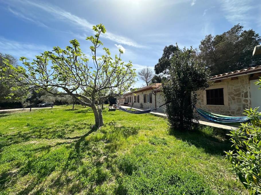 Finca Roberto Villa Can Picafort  Kültér fotó