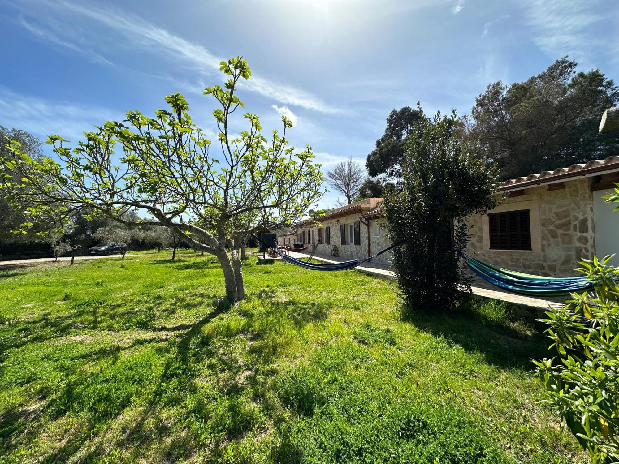 Finca Roberto Villa Can Picafort  Kültér fotó